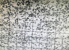 绿碳化硅微粉 10000#颗粒形状的图片