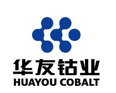 浙江华友钴业终止对外投资