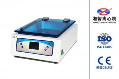 XB-8恒温孵育器（常温）的图片