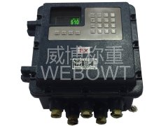 ID510隔爆防爆重仪表的图片