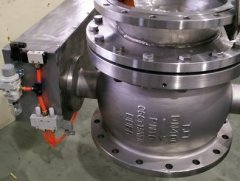 食品级圆顶充气阀的图片