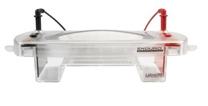 水平电泳的图片