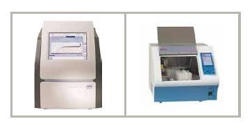 Evergreen MS-GDS免疫磁珠分离快速检测系统的图片