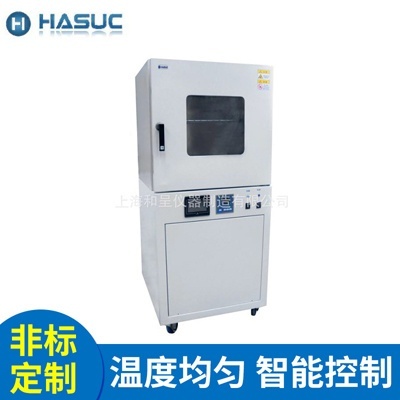HASUC PLC-6020可编程智能电热真空干燥箱的图片