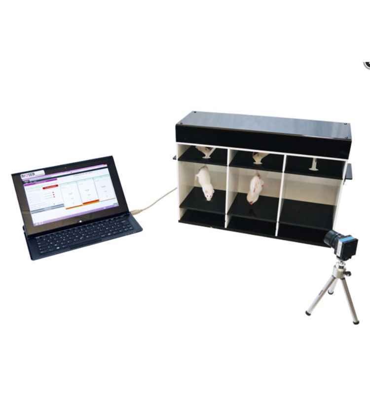 Bioseb悬尾实验测试仪的图片