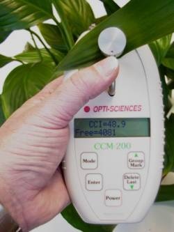 便携式叶绿素仪的图片