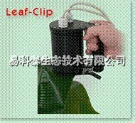 FL3500/LC双调制叶片叶绿素荧光动态测量系统的图片