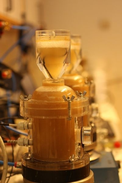 BM-DAQ多功能活性污泥呼吸测量系统的图片