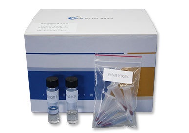 西布曲明快速检测试剂盒的图片