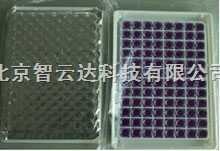 96孔/盒牛奶中抗生素快速检测试剂盒的图片