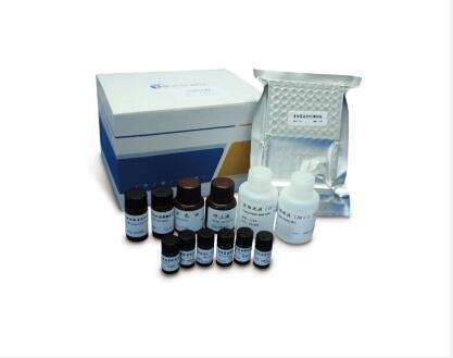 智云达呕吐毒素（DON）检测试剂盒ELISA的图片