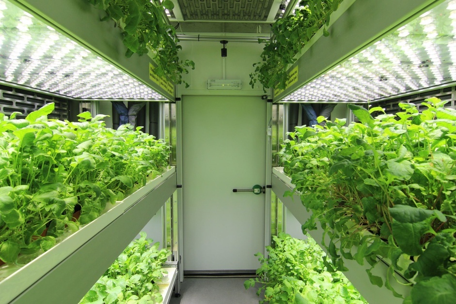 Fyto智能LED光源的图片