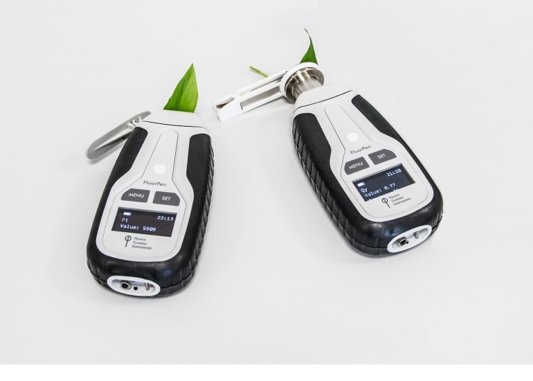 FluorPen手持式叶绿素荧光仪的图片