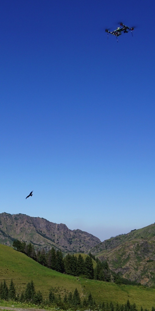 EcoDrone UAS-4无人机红外热成像遥感系统的图片