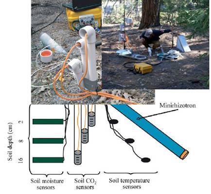 SCG-BTC原位土壤CO2与根系动态观测系统的图片