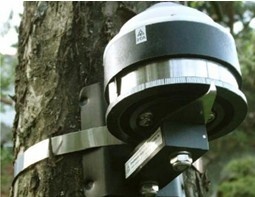 DRL26树木径向生长监测仪的图片