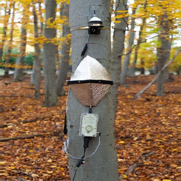 EMS81树木茎流观测系统的图片