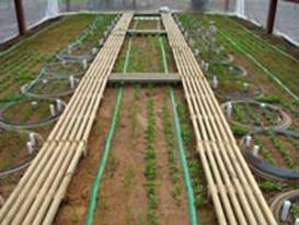 SoilTron-Rhizo根系生态观测蒸渗仪的图片