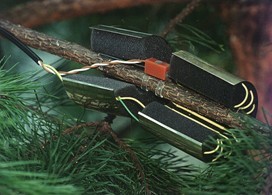 EMS62多通道植物茎流测量系统的图片