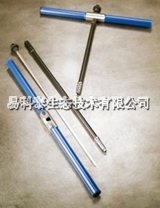 树木生长锥的图片