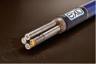 YSI便携/在线式水质分析仪EXO的图片