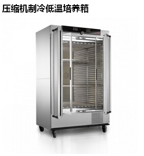 压缩机制冷低温培养箱的图片