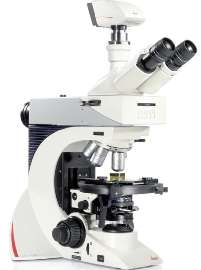 偏光显微镜的图片