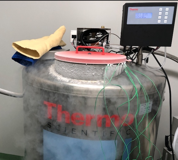 THERMO气相液氮罐CryoExtra8140（CE8140）的图片