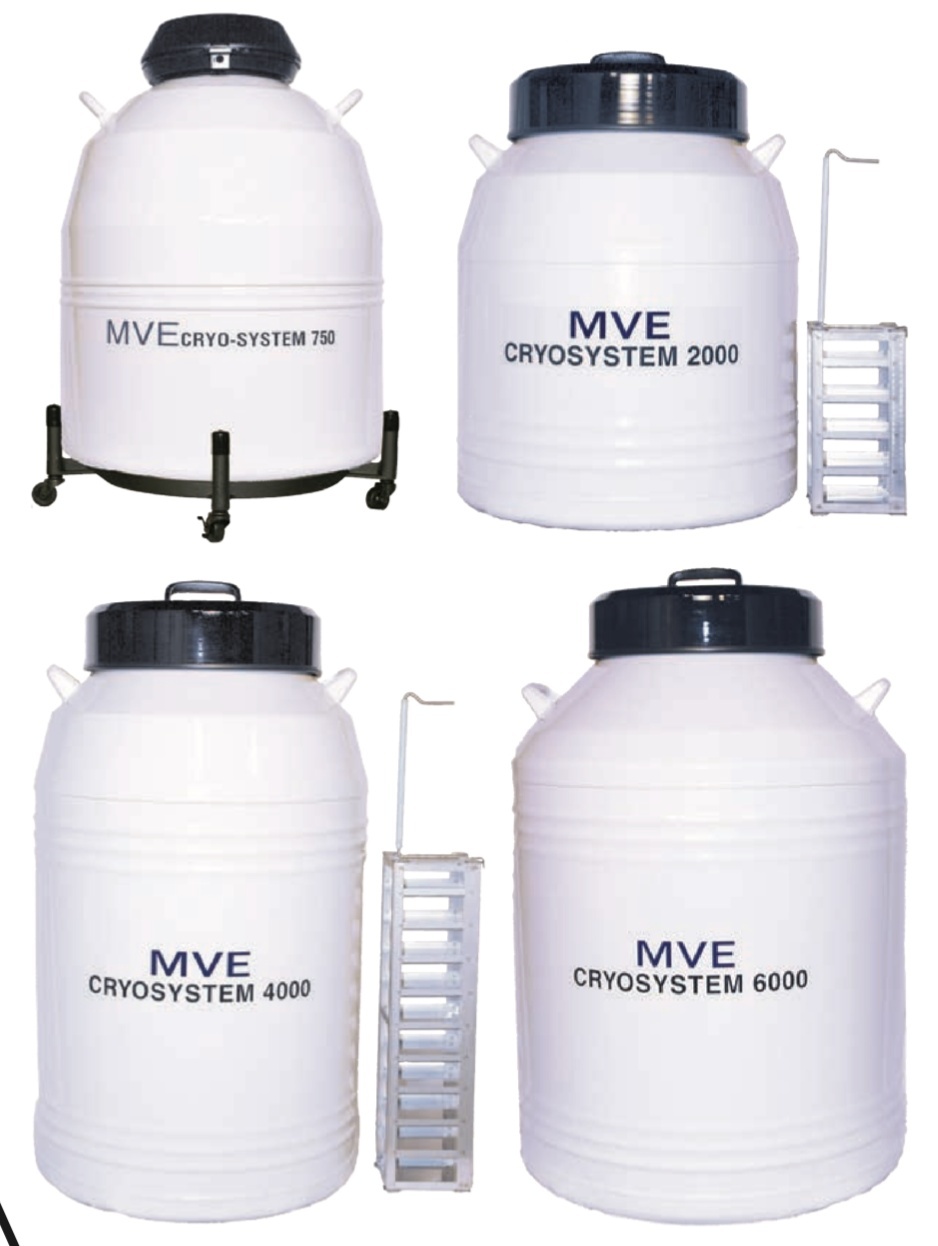 MVE液相细胞储存罐Cryosystem6000的图片