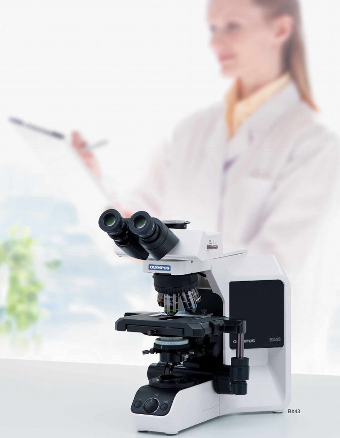 金相图像分析软件的图片