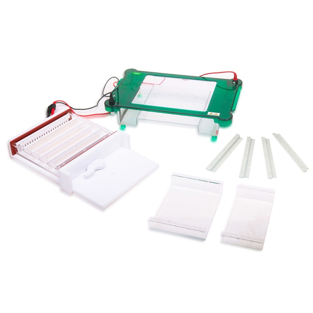 君意JY-SPGT水平电泳槽的图片