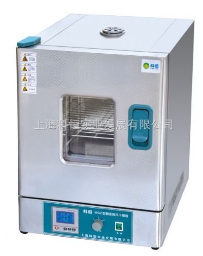 精密鼓风干燥箱（改进升级型)的图片