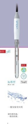 新型3合1PH电极9615-10D的图片