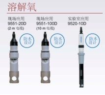 HORIBA溶解氧电极9520-10D的图片