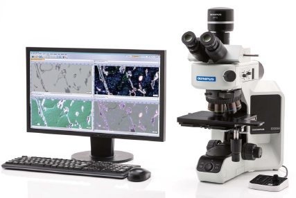 奥林巴斯金相显微镜正置金相显微镜BX53M的图片