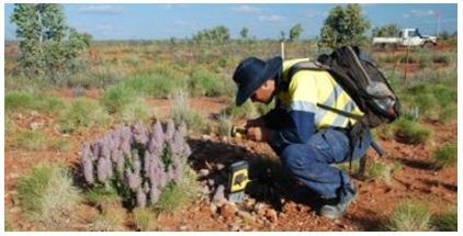 奥林巴斯手持式XRF DELTA的图片