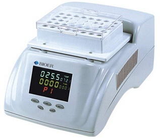 博日CHB-202恒温金属浴（新型）的图片