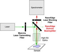 显微荧光寿命（TCSPC）测试系统的图片