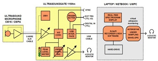 UltraSoundGate 116Hm动物声谱分析系统的图片
