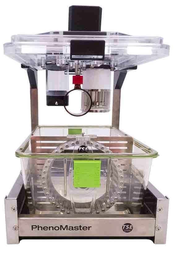 TSE高级代谢笼的图片
