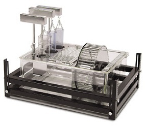 TSE动物代谢测量分析系统的图片