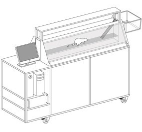 运动功能评估系统的图片