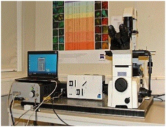 光纤激光器的图片