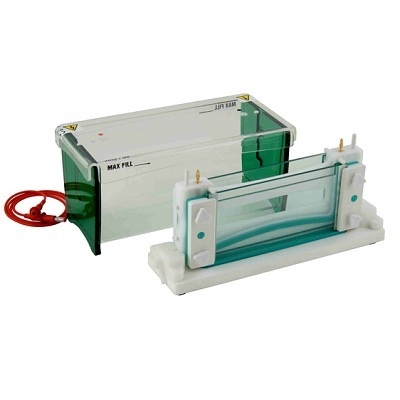 双板宽迷你垂直电泳-TV200, TV200Y(Scie-Plas TV200/TV200Y)的图片