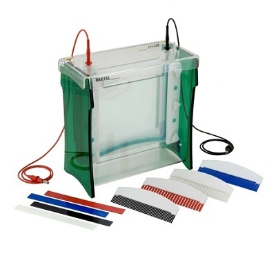 双板大型垂直电泳- TV400(Scie-Plas TV400)的图片