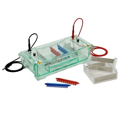 三变胶水平电泳-TVG-SYS(Scie-Plas TVG-SYS)的图片