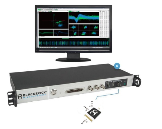 Cereplex Direct在体多通道神经信号记录系统的图片