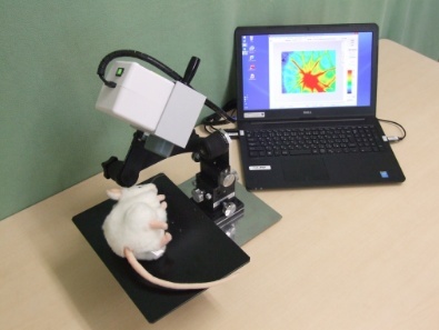 激光散斑血流成像系统的图片