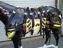 兽医专用伤马吊索的图片