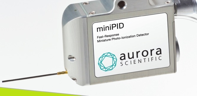 Aurora嗅觉传感器的图片